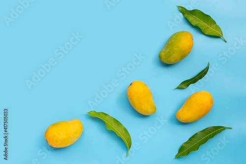 Tropical fruit, Mango on blue background.