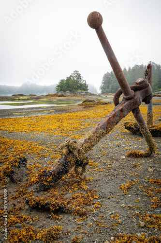 USA, Alaska, Sitka. Old anchors at ocean low tide.