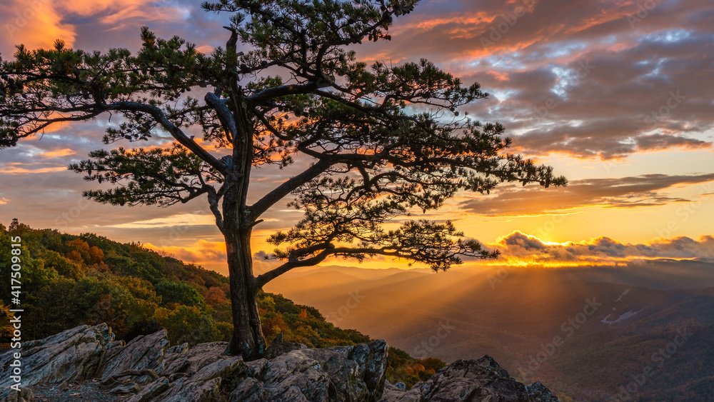 Autumn sunset on the Blue Ridge Parkway at the Ravens Roost Overlook - Virginia - lone tree Autumn sunset on the Blue Ridge Parkway at the Ravens Roost Overlook - Virginia - lone tree