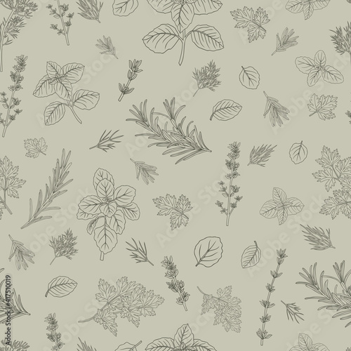 Hand-drawn herbs seamless pattern parsley basil oregano thyme rosemary dill