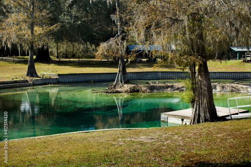 Winter Springs, Hart Springs, Trenton, Florida.