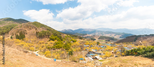 산수유마을 파노라마 풍경
