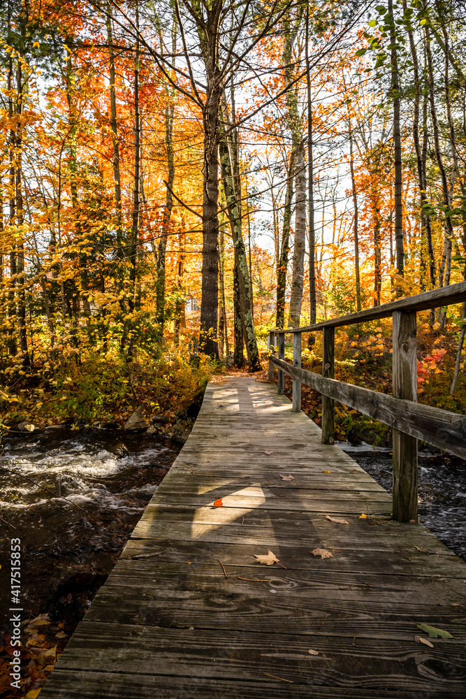 Fascinating autumn landscape with a small stormy river in the forest and a wooden pedestrian bridge across it in Vermont