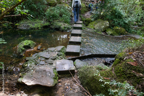 Photography Bidjigal Reserve, Sydney, NSW, Australia