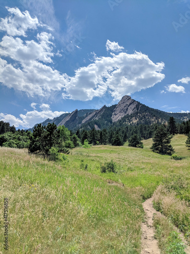 Flat Irons