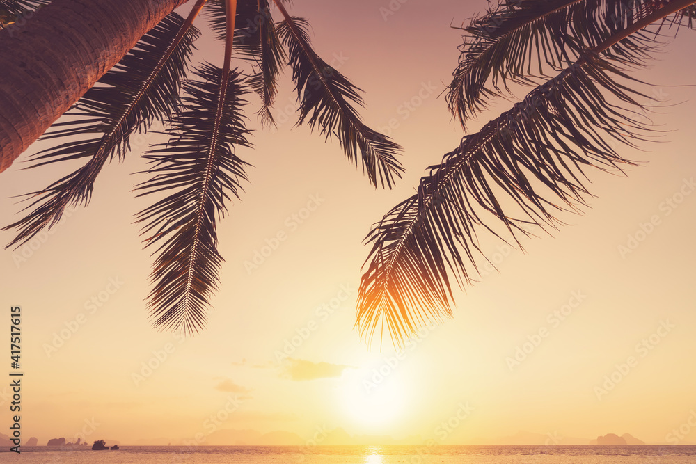 Palm tree at tropical beach on sunset sky abstract background. Summer vacation and nature travel adventure concept.