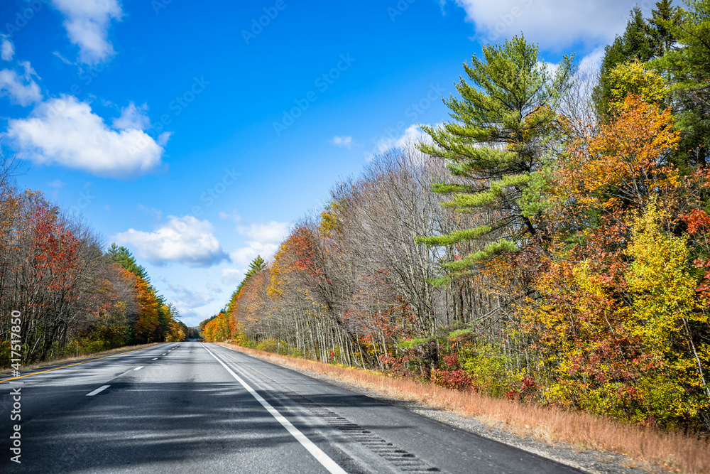 One-way highway landscape with scenic yellowed autumn maple trees on the sides in New Hampshire New England