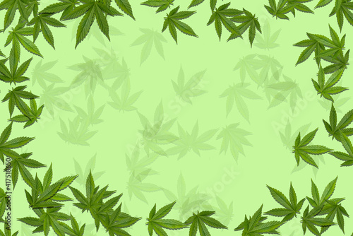 Marijuana leaf pattern on background.