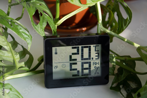 Healthy home. Thermometer and hygrometer. Air humidity measurement. Optimum humidity at home. Thermometer in the interior, among houseplants photo