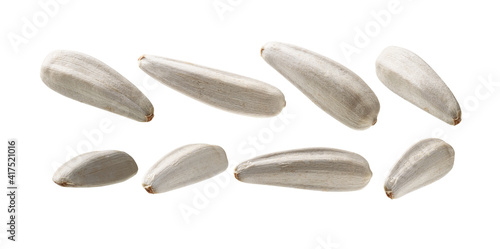 A set of white sunflower seeds. Isolated on a white background