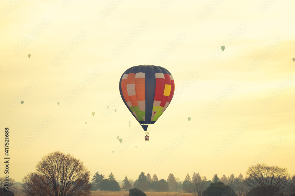 Obraz premium 渡良瀬バルーンレース