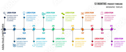 Project Timeline & Milestones Infographics, 12 months plan	