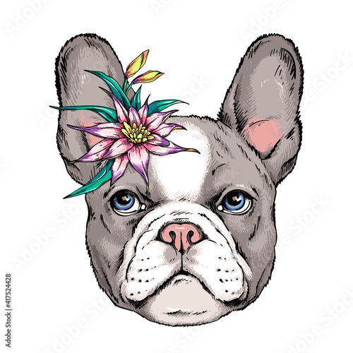 French bulldog puppy sketch. A dog with an exotic flower. Vector illustration in hand-drawn style Stylish image for printing on any surface