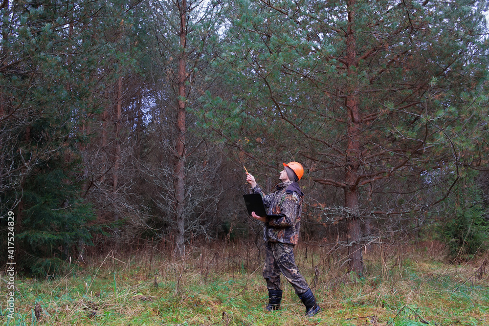 Forest engineer works in the forest with a computer. Voluntary forest certification concept. Observing the development of the forest.