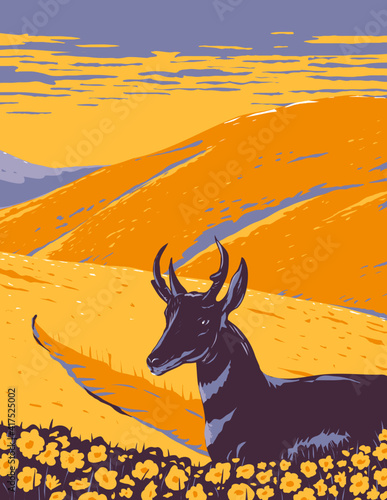 WPA poster art of pronghorn and wild flowers growing in grassland of Carrizo Plain National Monument San Luis Obispo County California in works project administration or Federal Art Project style.