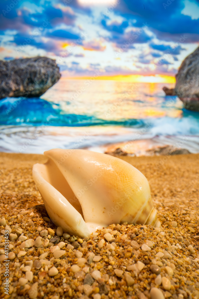 Sunset Seashell on the beach Sunset Seashell on the beach