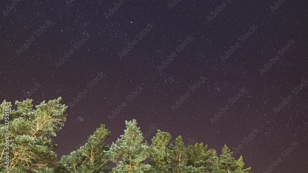 Night Starry Sky With Glowing Stars. Bright Glow Of Sky Stars Above Winter Pines Forest. Copy Space. Natural Night Time Lapse Time-Lapse Night Starry Sky With Glowing Stars. Bright Glow Of Sky Stars Above Winter Pines Forest. Copy Space. Natural Night Time Lapse Time-Lapse