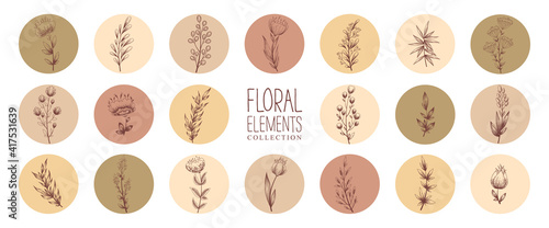 Vector collection with floral round icons in natural colors isolated on white background. Set of various vector highlight covers for social media stories.