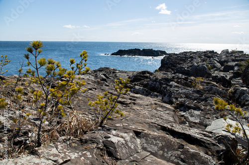 Wallpaper Mural 気仙沼　唐桑半島 Torontodigital.ca