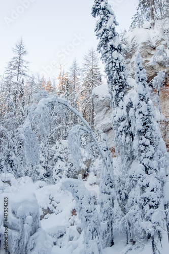 Nature Reserve of Russia, Arkhangelsk region Golubino. 