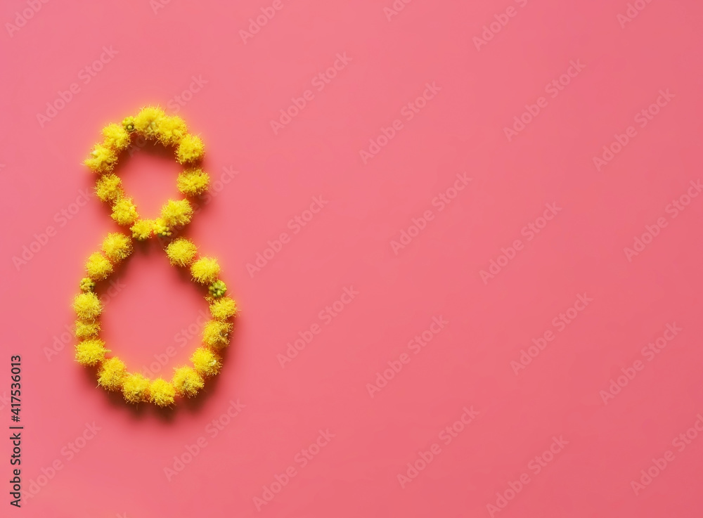 Figure 8 is lined with yellow fluffy mimosa flowers on the pink backdrop of the International Women's Day Spring Postcard holiday free space for text