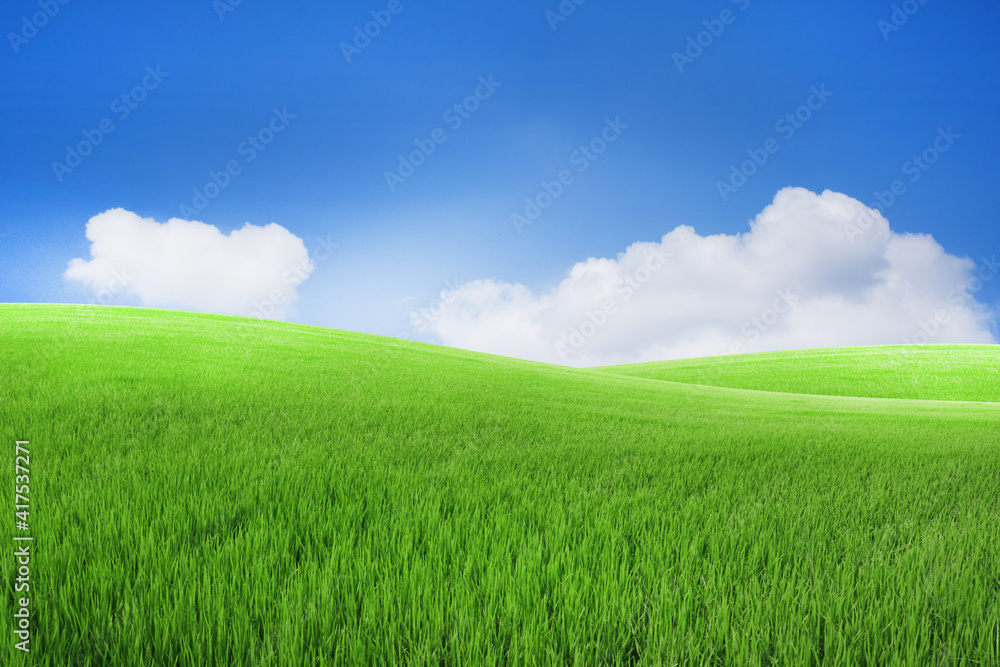 Green meadows with blue sky and clouds background. Green meadows with blue sky and clouds background.