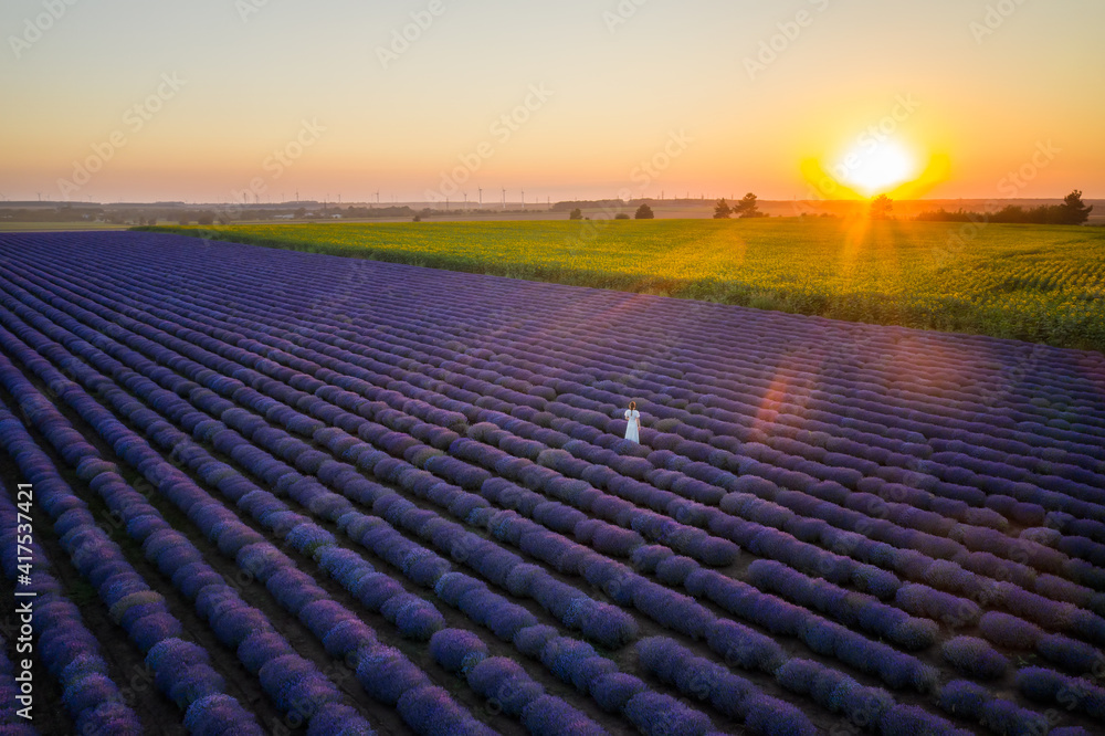 Obraz premium Aerial view of a woman in a white dress, among blooming lavender field at sunset