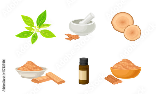 Sandalwood Timber and Wood Material with Fragrant Powder in Bowl Vector Set