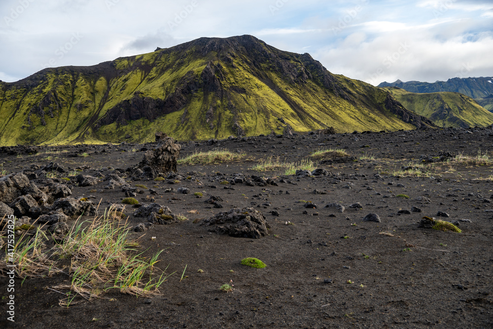 Majestic volcanic landscape covered with moss in Iceland highlands