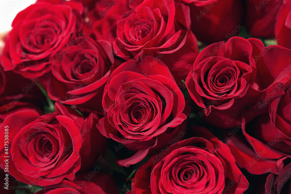 bouquet of beautiful red roses bouquet of beautiful red roses
