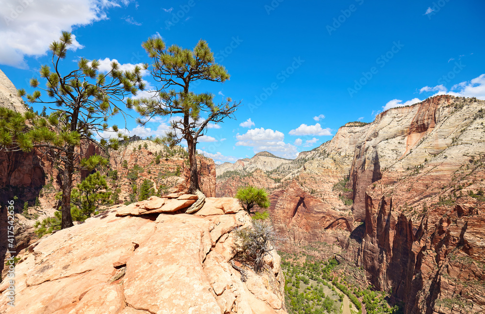 Zion National Park scenery, Utah, USA. Zion National Park scenery, Utah, USA.