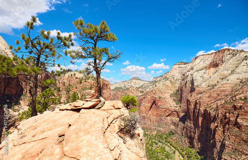 Zion National Park scenery, Utah, USA.