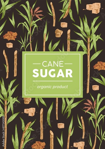 Design of packaging with sugarcane pattern on black background. Vertical packing template with branches, leaves and cubes of cane sugar. Hand-drawn colored vector illustration in retro style