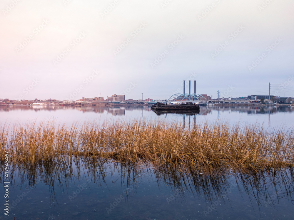 Wild Water Grasses in the Industrial Harbor at Dawn