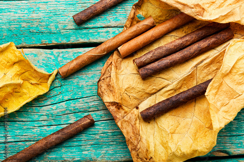 Принти на полотні Group cigars and tobacco leaves