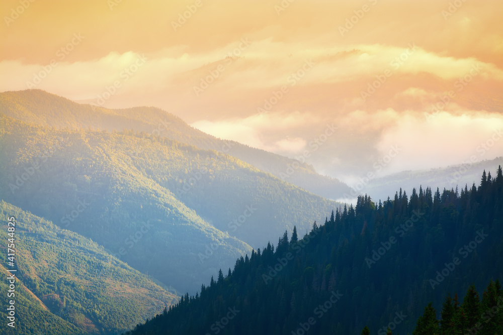 Bright Carpathian landscape in the morning light. After a thunderstorm. Rising fog.