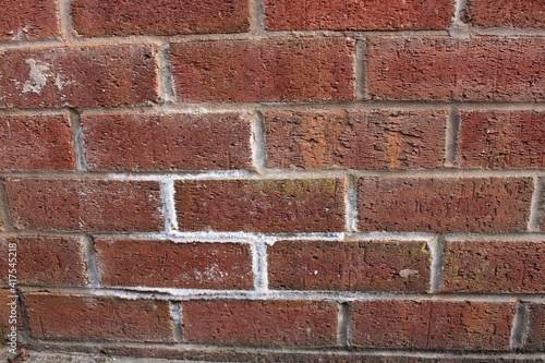 Efflorescence white powdery deposit of salts on brickwork