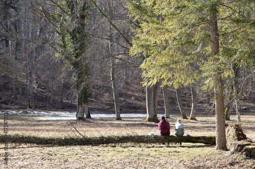 Paar auf einem Baumstamm beim Date
