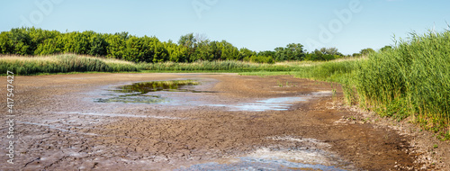 Slika na platnu Puddles with water leftovers on bottom of dried river in time of summer drought