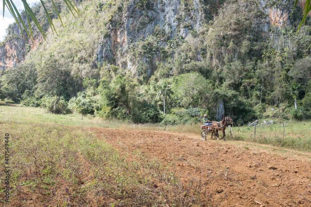 Un homme à charriot tiré par un cheval à Viñales, Cuba Un homme à charriot tiré par un cheval à Viñales, Cuba