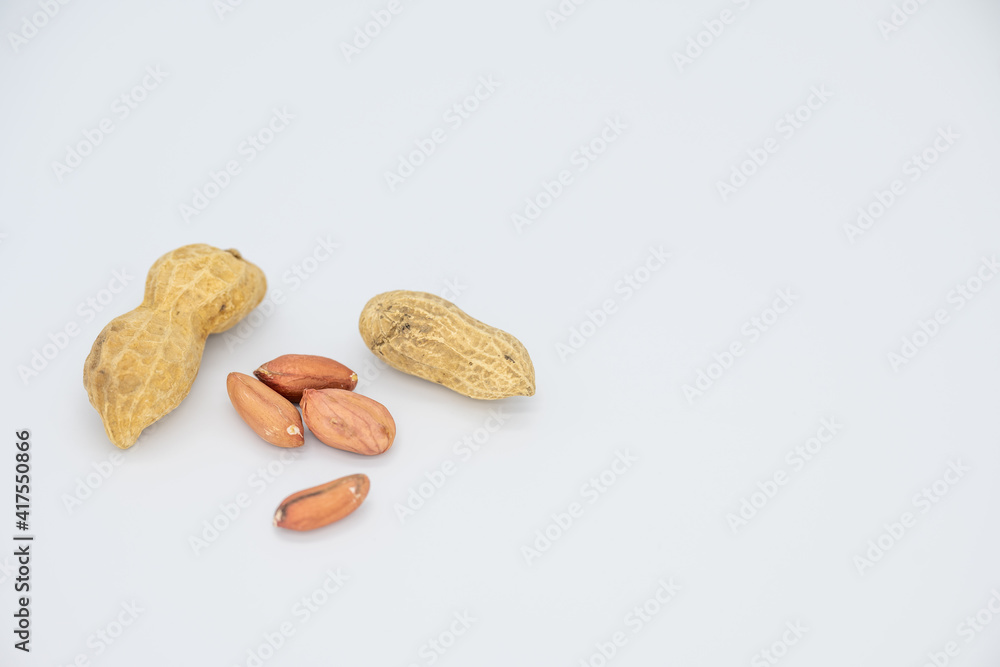 저의 집에서 미니 포토 박스를 이용하여 흰색 PVC배경지를 이용하여 촬영했습니다.