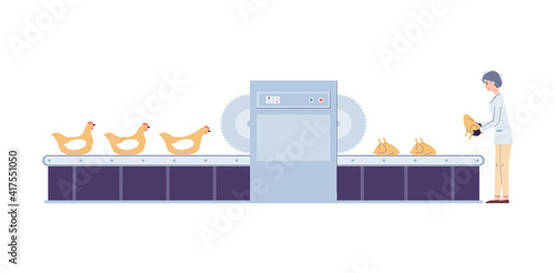 Poultry farm for production of chicken meat, flat vector illustration isolated.