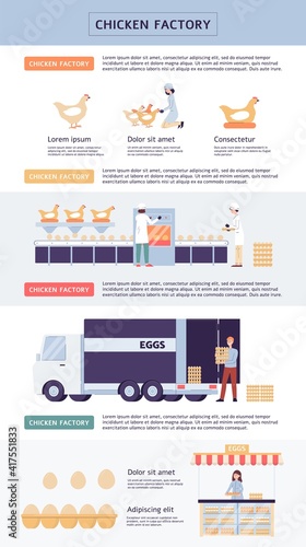 Chicken factory banner with infographics a vector illustration