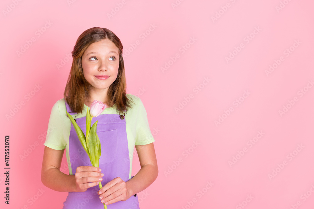 Photo portrait of small girl keeping tulip flower looking empty space isolated on pastel pink color background Photo portrait of small girl keeping tulip flower looking empty space isolated on pastel pink color background