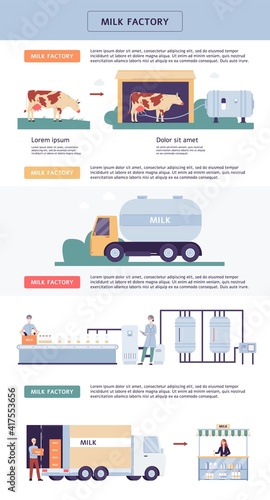 Stages of dairy production at milk factory infographic flat vector illustration.