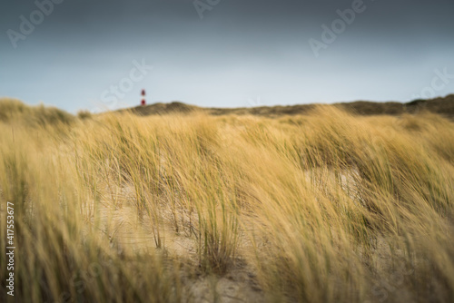 Waving grass in stormy winds on sand dunes with lighthouse on Sylt island Germany