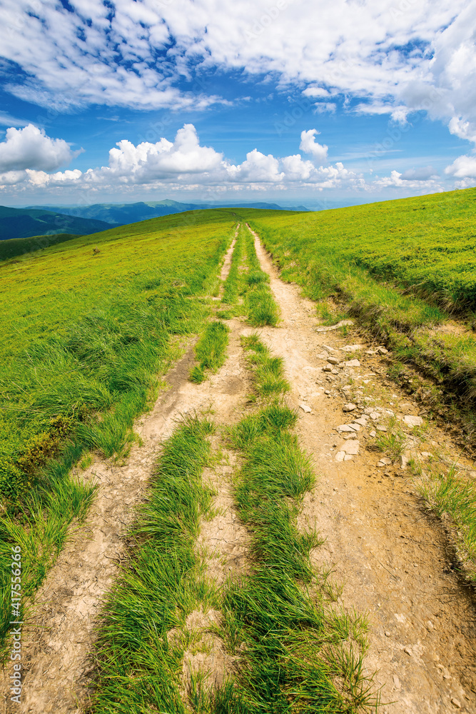path through green grassy mountain meadow. beautiful summer landscape. fine weather with fluffy clouds on the blue sky path through green grassy mountain meadow. beautiful summer landscape. fine weather with fluffy clouds on the blue sky