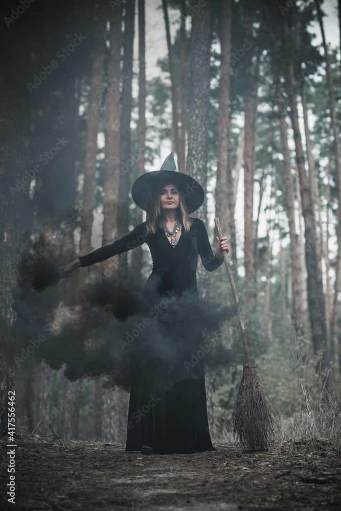 Witch at wood, fog around, magic concept, illustration for rituals and mystical scene