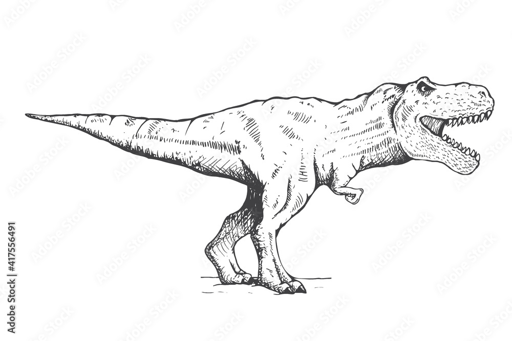 T Rex Outline Stock Illustrations – 341 T Rex Outline Stock