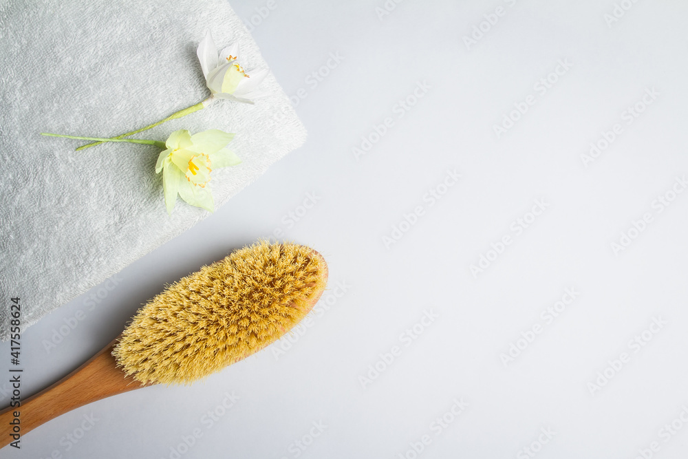 Massage brush for the body. Dry anti-cellulite massage. Wooden brush made of cactus and boar fiber. On a blue background. Massage brush for the body. Dry anti-cellulite massage. Wooden brush made of cactus and boar fiber. On a blue background.
